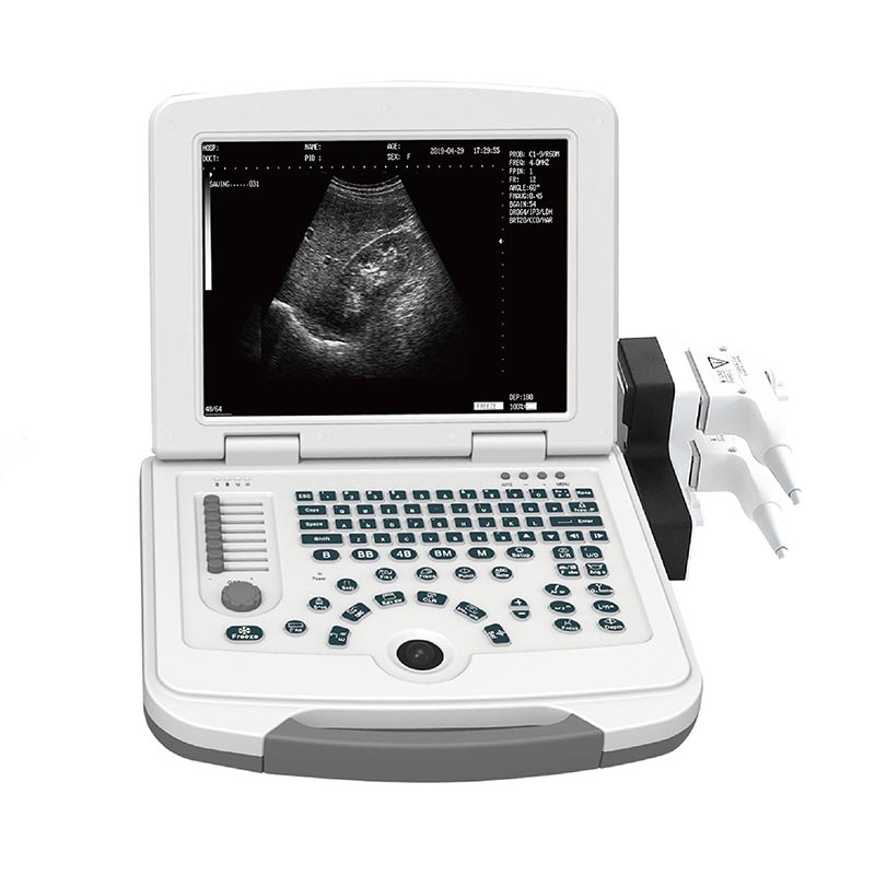 High Quality for 4d Ultrasound Price -
 DW-500 – Dawei