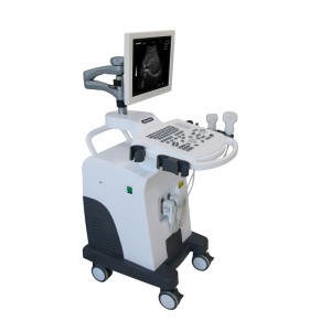 Rapid Delivery for Ultrasound Probe -
 DW-350 trolley black and white ultrasound diagnostic system – Dawei