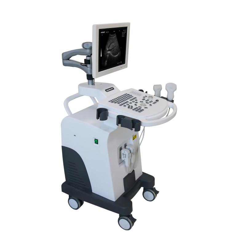 High Quality Wireless Ultrasound Probe – DW-350 trolley black and white ultrasound diagnostic system – Dawei