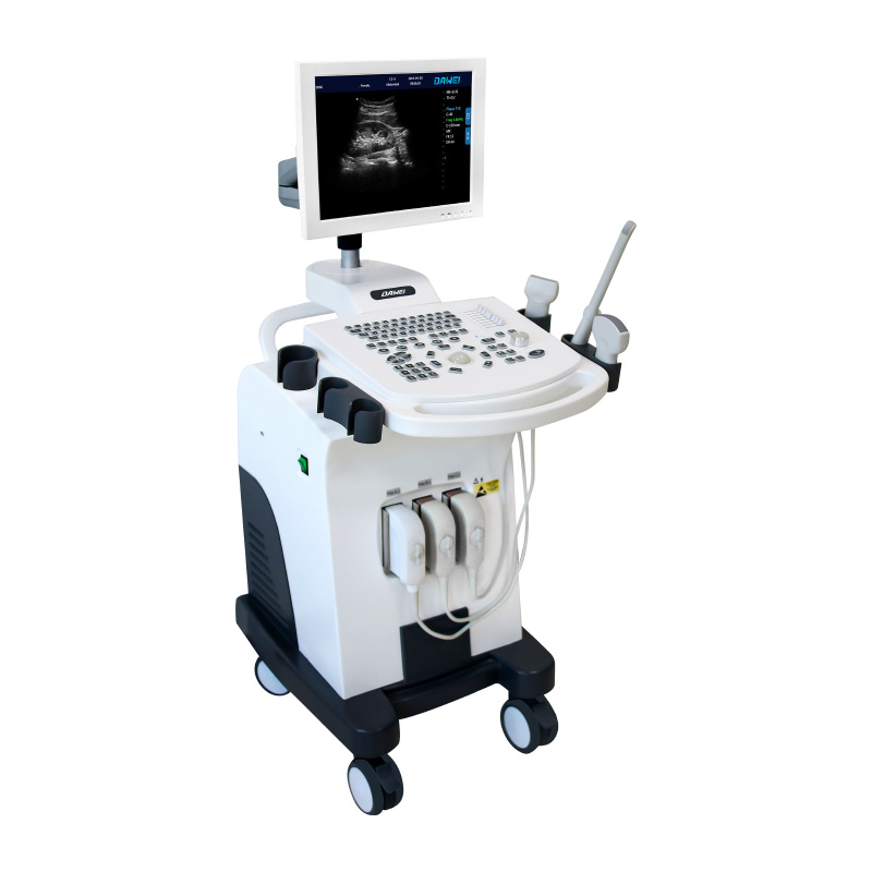Reasonable price Portable Sonography Machine Price -
 DW-370 full-digital black and white ultrasound diagnostic system – Dawei