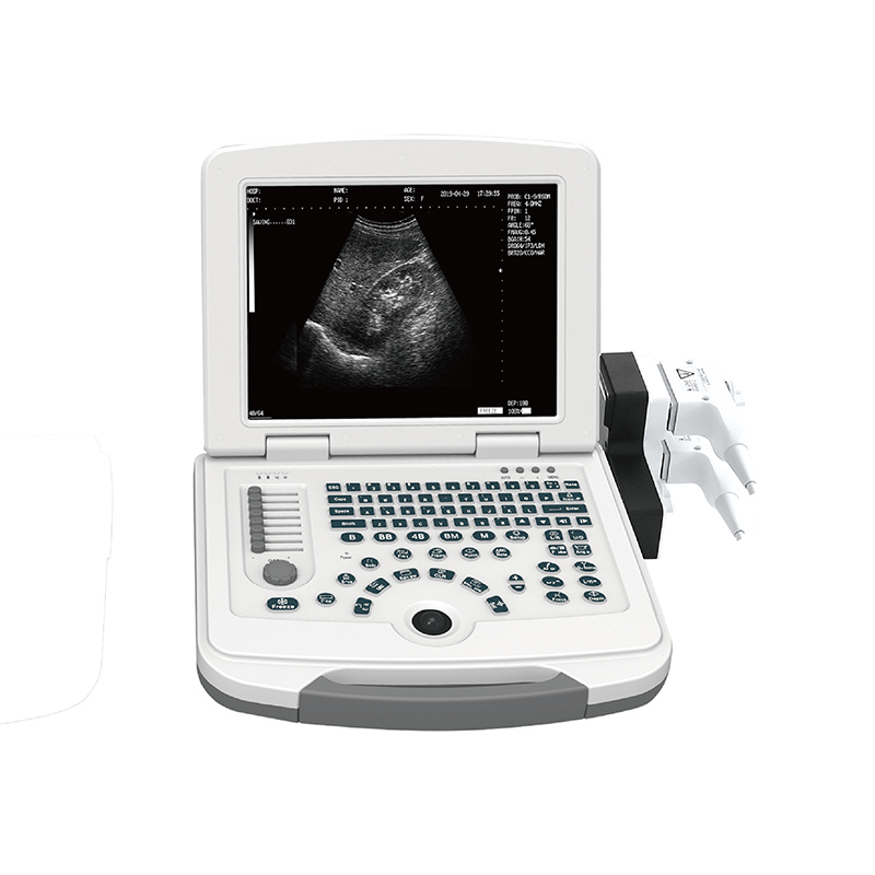 18 Years Factory Dog Heart Ultrasound -
 DW-500 – Dawei