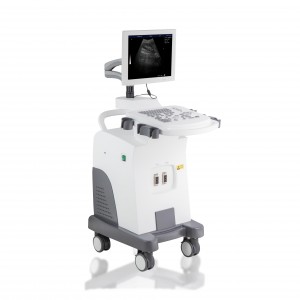 Factory made hot-sale Medical Ultrasound Machine -
 DW-350 – Dawei