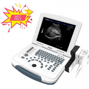 Personlized Products Ultrasound Probe For Android -
 hot sell DW-580 black and white ultrasound machine price – Dawei