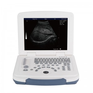 Bottom price 4d Ultrasound -
 DW-580 – Dawei