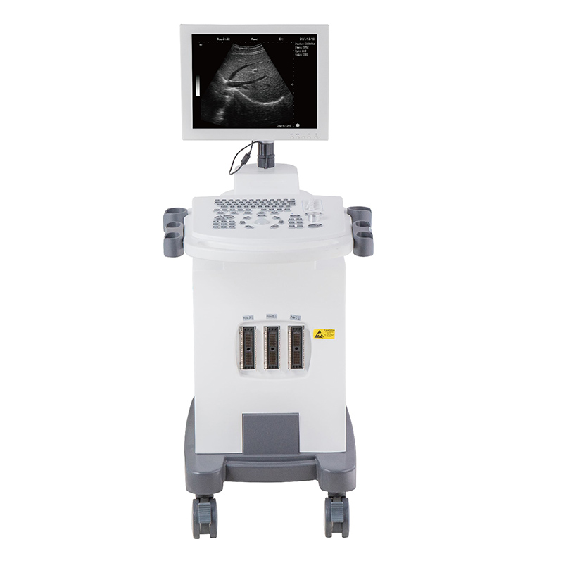 Factory Cheap New Ultrasound Machine -
 DW-370 – Dawei