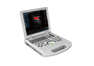 Best quality Handheld Sonogram Machine -
 DW-L5(DW-PF522) color doppler ultrasound machine – Dawei