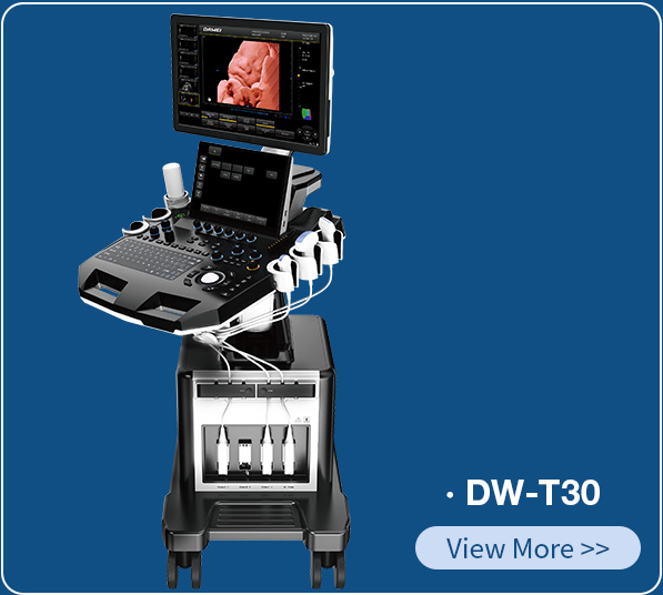 https://www.ultrasounddawei.com/dw-t30-d-live-trolley-ultrasonic-diagnostic-apparatus-product/