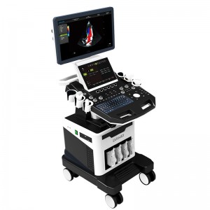 Well-designed Portable Echocardiography Machine -
 DW-T8 powerful echo ultrasound professional 4d ultrasound machine – Dawei