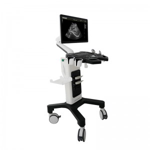 professional factory for Convex Array Transducer -
 DW-F3 trolley color doppler medical ultrasound scanner system – Dawei