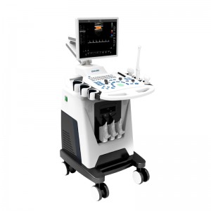 OEM/ODM Manufacturer Handheld Doppler Ultrasound -
 DW-F3 trolley color doppler ultrasound scanner system – Dawei