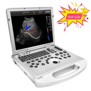 Factory Supply Ultrasound Transducer Cost -
 DW-L3 portable medical color Doppler ultrasound echo machine – Dawei
