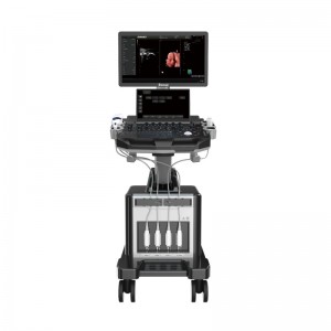 Low MOQ for Best Home Ultrasound Machine -
 DW-T30 trolley ultrasonic diagnostic apparatus – Dawei
