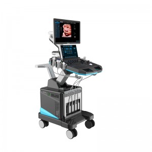 Factory Promotional Diagnostic Ultrasound Machine -
 DW-T50(T5PRO) medical color doppler ultrasound scan machine – Dawei
