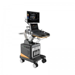Fixed Competitive Price Portable Ultrasound Ipad -
 DW-T60 (DW-CE780) High End cardiac ultrasound scan machine – Dawei