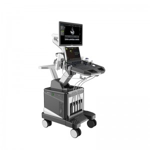 DW-T8 powerful echo ultrasound professional 4d ultrasound machine