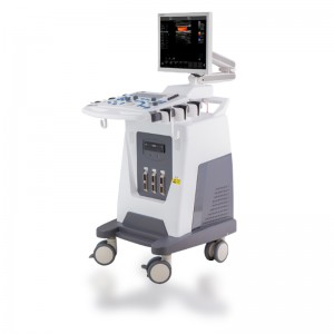Factory For Cheap Ultrasound For Dogs -
 DW-F3 – Dawei