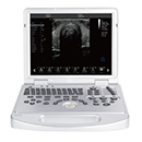 DW-L5 economical type laptop 3d4d color doppler ultrasound baby scan
