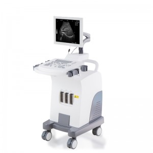 Newly Arrival Ultrasound Machine Cost -
 DW-370 – Dawei
