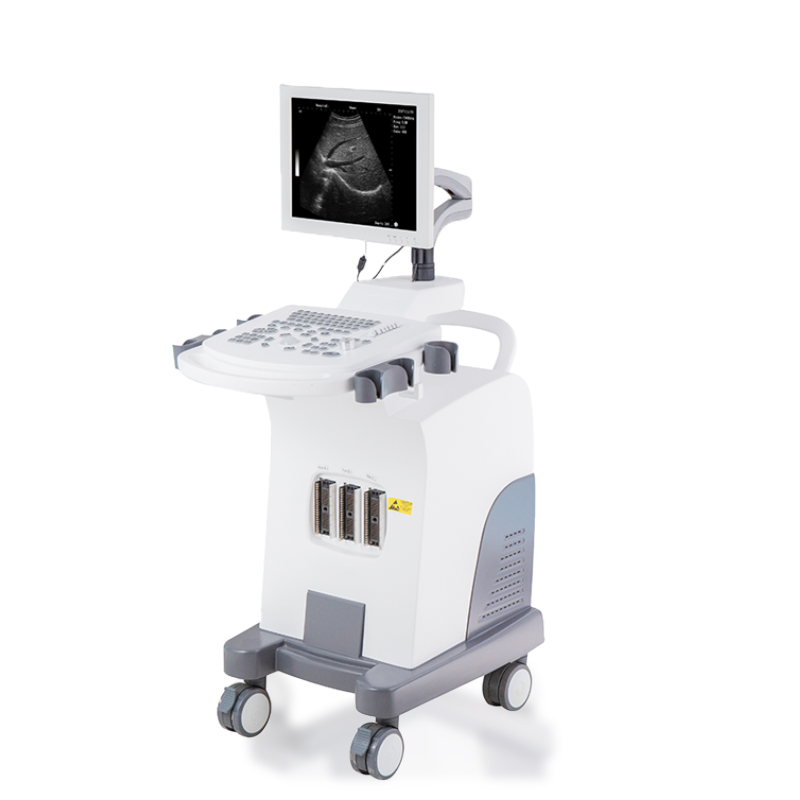 PriceList for Portable Ultrasound Price -
 DW-370 – Dawei