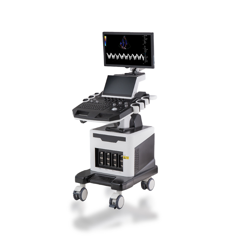 China Factory for Portable Ultrasound -
 DW-T8 – Dawei