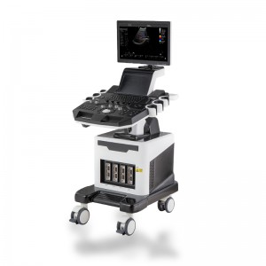 OEM Supply Usg Ultrasound -
 DW-F5 – Dawei