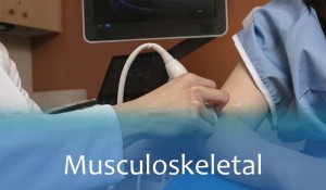 Msk ultrasound