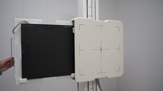 flat panel detector (2)